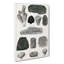 Collection of Fossils by Oliver Goldsmith - Wrapped Canvas Drawing - Wrapped Canvas-55372016