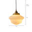 Lampe suspendue en verre Schoolhouse