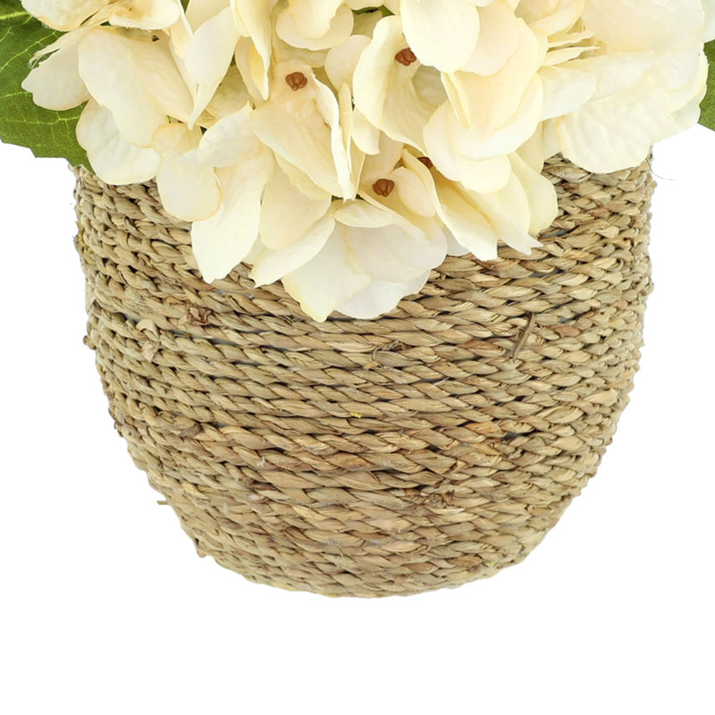 Arrangement floral d'hortensias d'automne Carytown, Crème, crème