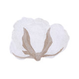 Cotton Floral Area Rug in White/Brown/Pearl Gray