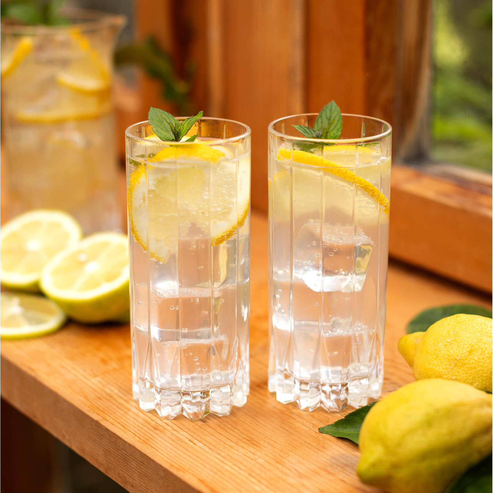 Drink Specific Glassware Highball Glass
