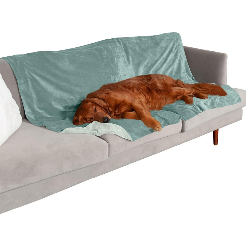 Couverture solide pour animaux