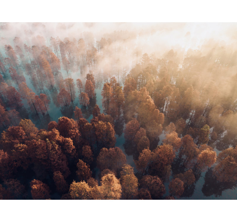 Wrapped Canvas Print, 50.8 cm H x 76.2 cm W