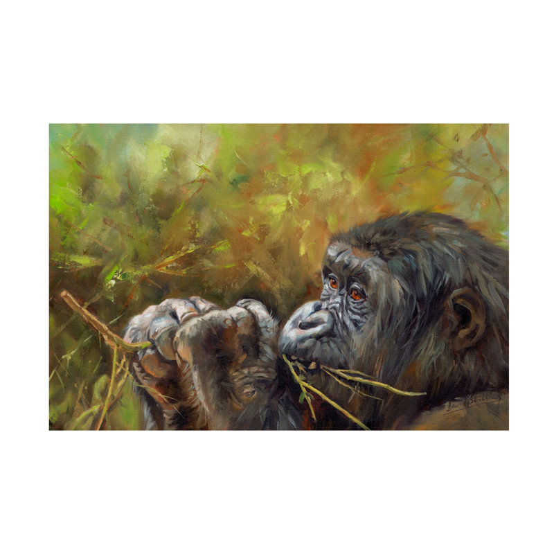 «David Stribble Young Lowland Gorilla», art sur toile, H 30 po x l 47 po