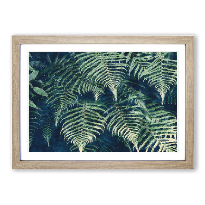 Fern Leaves Vol.1 - Framed Print, 36cm H x 48cm W x 2cm D, Oak Framed