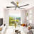 5 - Blade Propeller Ceiling Fan With Remote Control
