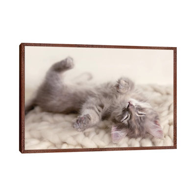 Carmella 1 Piece Wall Art on Canvas