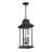 Horwitz 3-Light Outdoor Hanging Lantern
