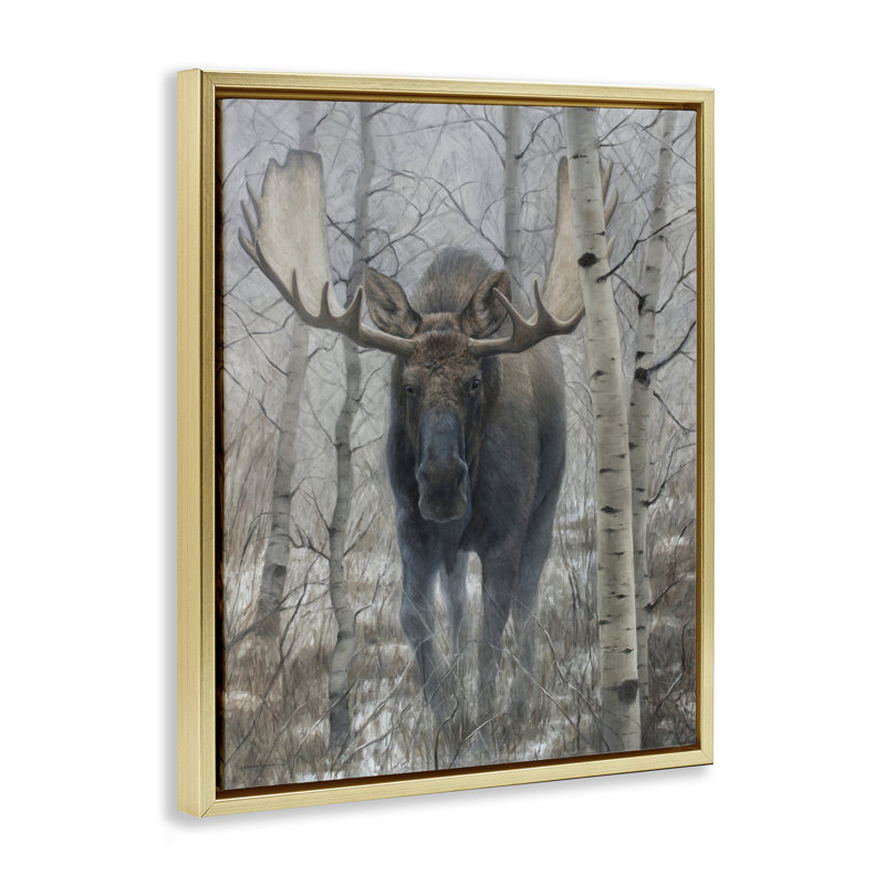 Cadre flottant Moose in Winter Birch Forest, design par James Corwin, H 31 po x l 25 po, Cadre flottant métallique doré