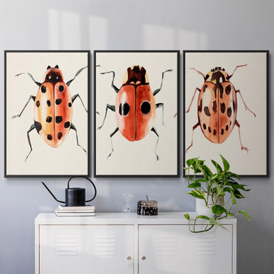 " Ladybug Display II " 3 - Pieces