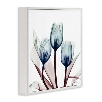 Chic Blue Translucent Tulips Framed Giclee, design by Albert Koetsier