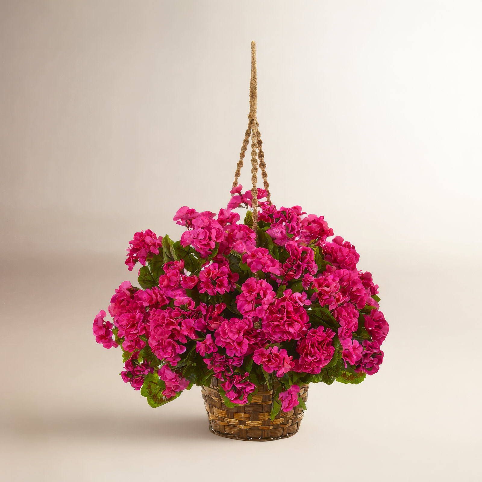 UV Resistant Geranium Hanging Basket, Beauty Pink
