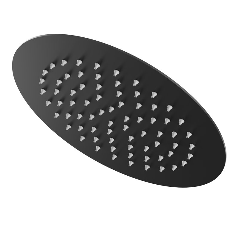 10-inch Single-Spray Round Rain Shower Head, Matte Black