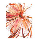 Full Blossom III Painting by Sara Brown