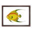 Golden Butterflyfish by George Shaw - Framed Print-55620883-55620882