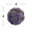 Boules de Sedum décoratives-268170699
