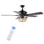 Ventilateur de plafond à 5 pales de 52 po avec télécommande et ensemble d'éclairage inclus Bristal-901812261
