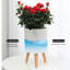 Wood Plant Pot