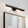 Coco 2 - Light Dimmable LED Vanity Light