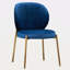 Chaise de salle à manger en velours-118100633