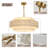6-Light Shell Drum Chandelier
