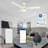 Yeliz 52'' Ceiling Fan with LED Lights