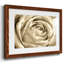 Fleur murale neutre IV-109224461-109224450