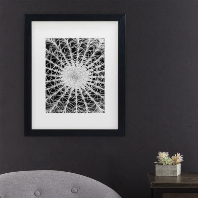 Cactus par Kurt Shaffer - reproduction de photo sur toile encadrée