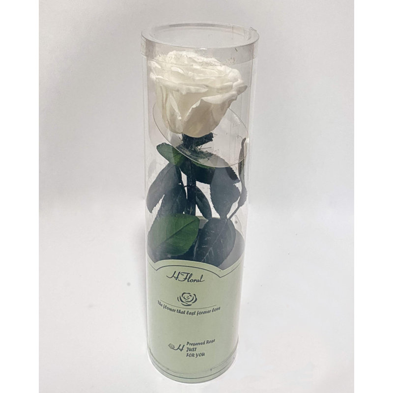 Preserved Natural Rose Rose Arrangement in Pot, White