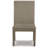 Tayshawn 19.5'' H Velvet Upholstered Side Chair