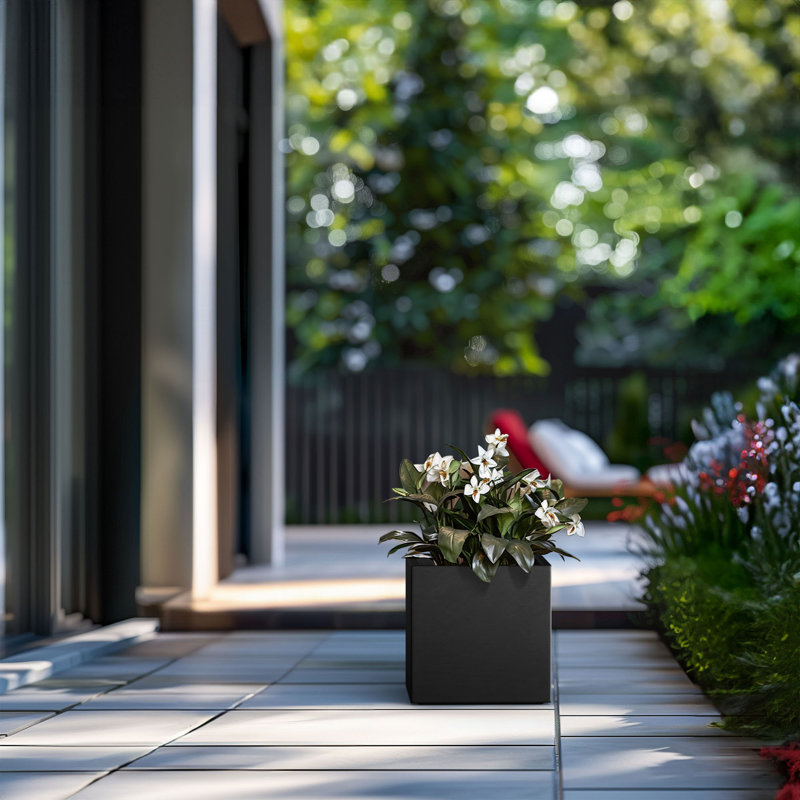 Boîte à fleurs en béton Redegonda, H 10 po x l 10 po x P 10 po, Noir anthracite