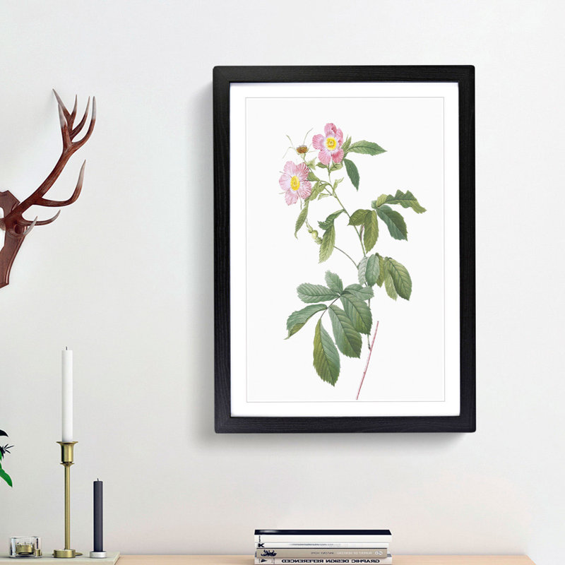 Alpine Roses In Pink by Pierre-Joseph Redoute - Single Picture Frame Painting, 45cm H x 33cm W x 2cm D, Black Framed