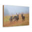 No Frame Print on Canvas-2022310185