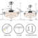 Fenisia 42'' Ceiling Fan with LED Lights