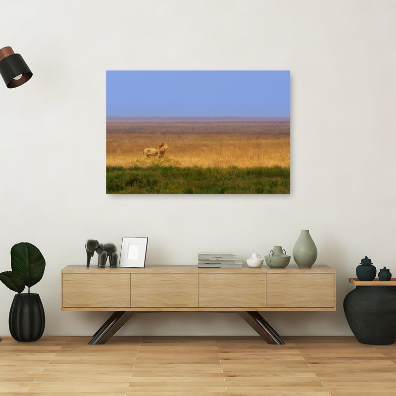 Majestic African Lion Peaceful Serene Abstract Cat Lion Landscape Nature Wall Art Print 1 Piece Wrapped Canvas Wall Art