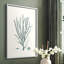Antique Coastal Coral VII, reproduction encadrée - bois massif-1522721440-1522721454