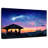 Adella Christmas Star-107680822