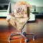 Coussin lombaire photographie-89820267-89820265