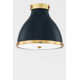 Painted No. 3 Flush Mount by Mark D. Sikes