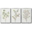 «Unbleached Neutrals IV», ensemble de 3 reproductions encadrées sur toile-1927133072-1927133078