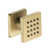 Satin Brass