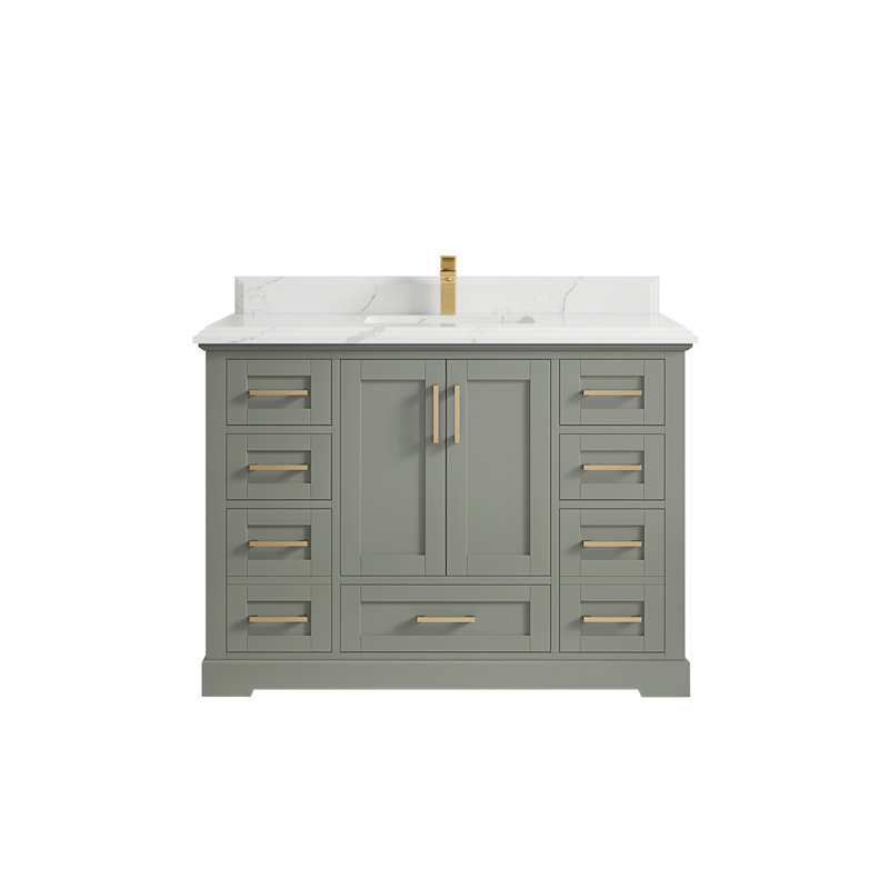 Esin 48'' Single Bathroom Vanity with Quartz Top