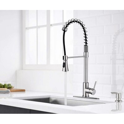 Spring Pull Down Single Handle Kitchen Faucet With Accessories -  PROOX, D0674-BN