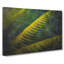 Rice Plantation In Cambodia Vol.2 - Wrapped Canvas-61844964