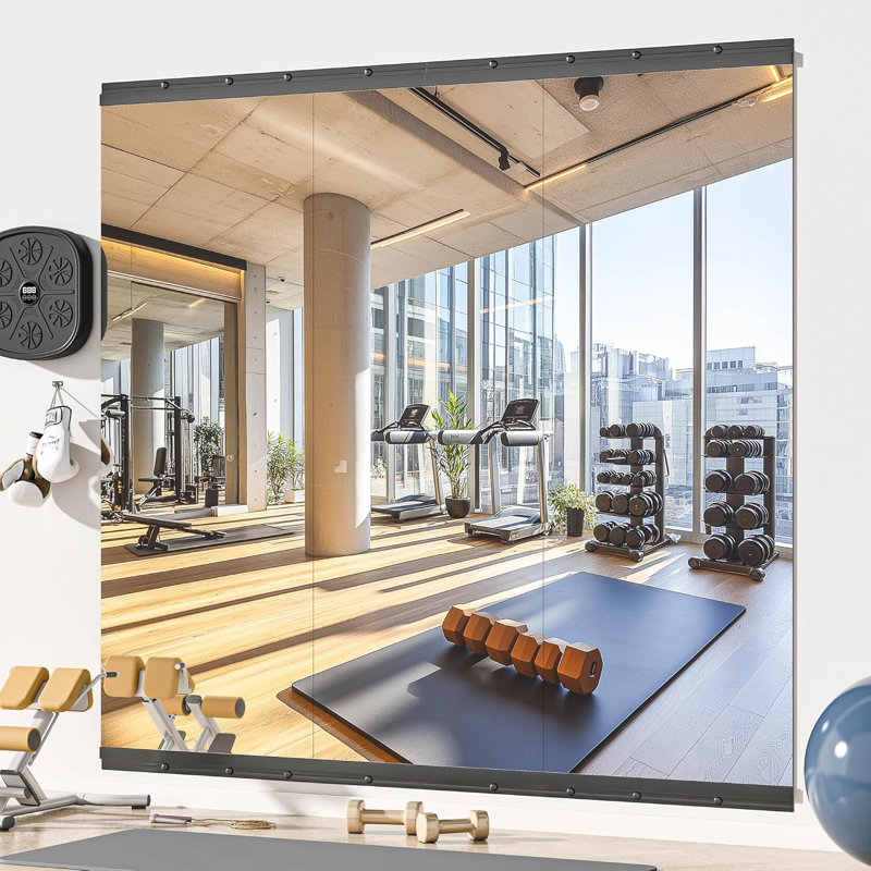 Ebern Designs Rectangle Full Length Metal Wall Mirror Set Home Gym Mirror with Tempered Glasses, 55" × 21", Black