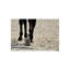 Equestrian Club III Print-26703277-26703275