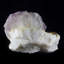 Fluorite 1,5 po - Mine Lupita, Mexique