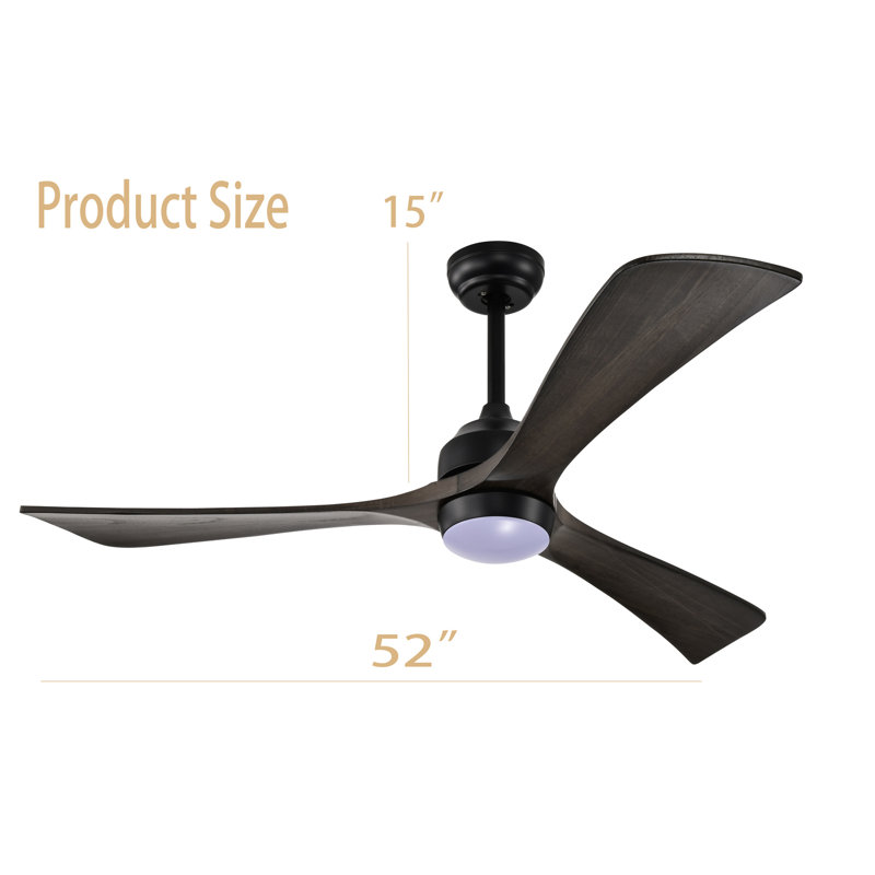Ventilateur de plafond extérieur à 3 pales Haydi avec télécommande et ensemble d'éclairage inclus, Noir
