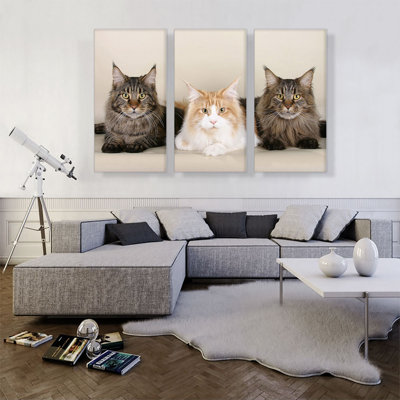" Maine Coon Cats " 3 - Pieces