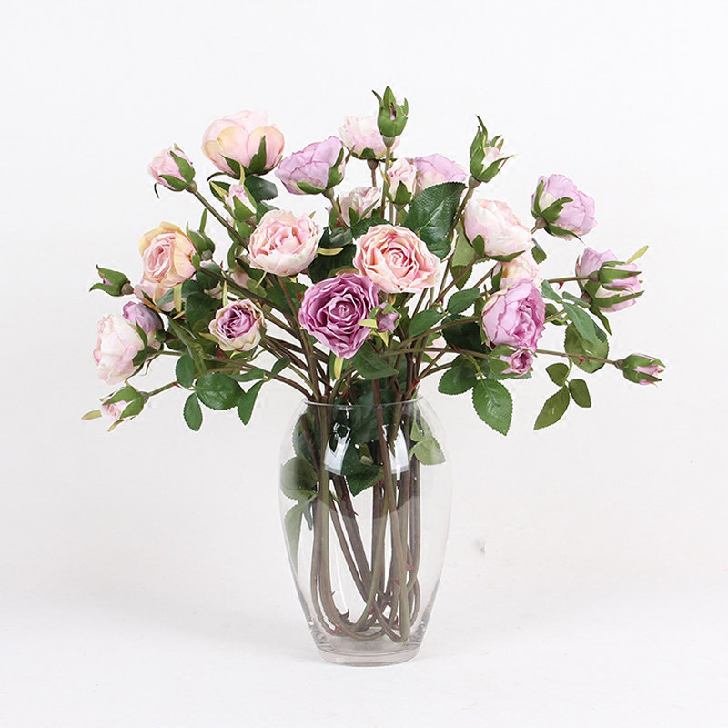 Tige de rose rose, Rose clair